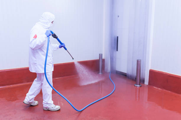 Best Warehouse Cleaning  in Euharlee, GA